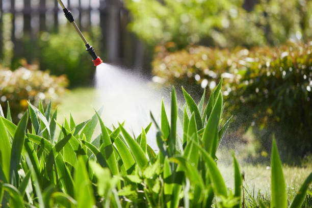 24/7 Emergency Wasp Removal experts in Slaughter, LA