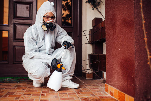 Reliable Wasp Removal contractor in Slaughter, LA by Show Me Pest Control